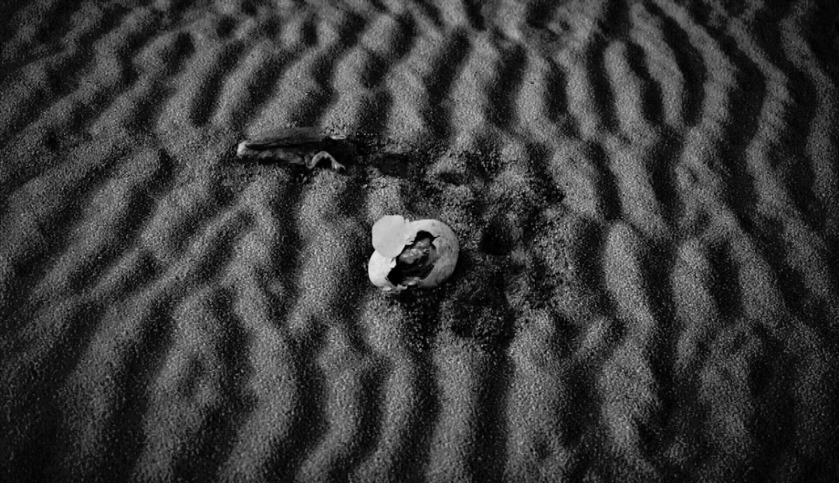 vlcsnap-2017-06-29-00h41m59s829 (2).png